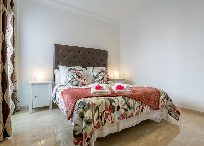 Rolycar 202 伊科德·德·洛斯·维诺斯